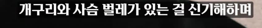 1ebec223e0dc2bae61abe9e74683706d2ea34583d2d6cfb1b7c9c41e4810ab8b6ffd49e8eab17a4fe826eec258773b0442a7