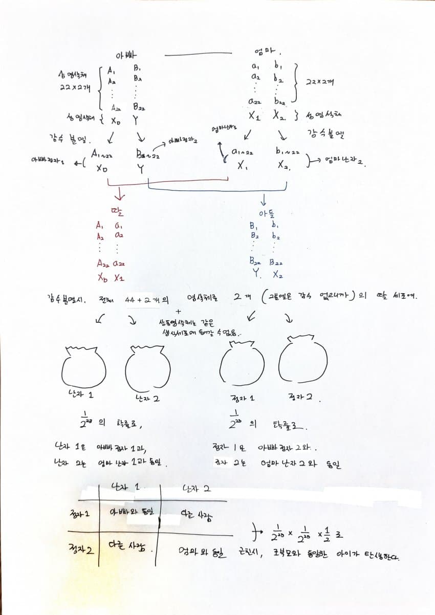 7fed8277b4826afe51ed85e14083736eda6e977455b3d90df4093286cc70c2232fb4e1