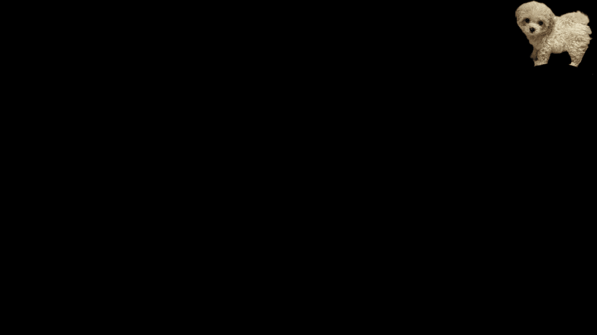 1db2dc2ff6da07f43eed84e54f807502dfb67dbcabc069b396c21eaf7d426330f20229064c5edc01