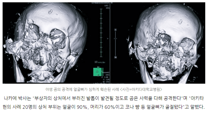 2bec8221e3836aa13fedd0b258c12a3affdde6e504c6881088cf6f24