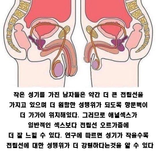 74b98422e4d16ef63cea81e413d5766b93fa25f17217a84cf1d43578c7dddf3da93f5d31e989b44943268481179f43e3