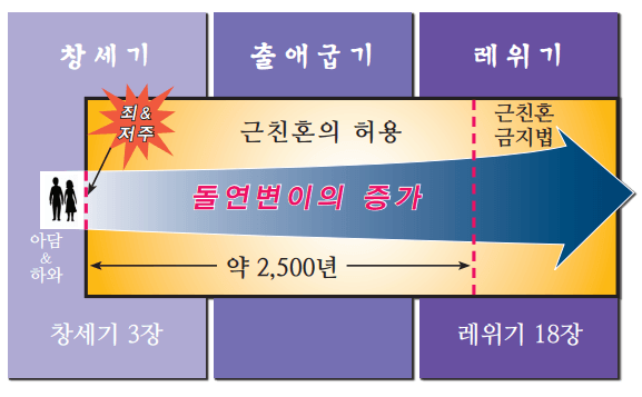 7fed81726e37dceb3a332d4129806a2d479ccd60c8d616e04d18d683c0