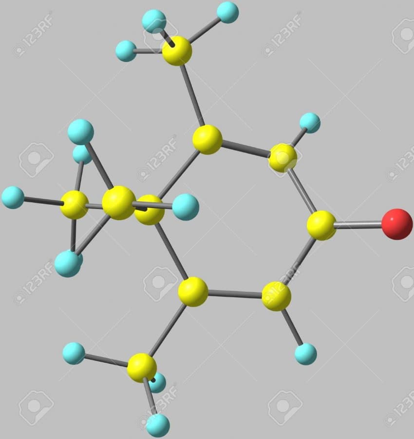 79ee8775b48468f4233238789c06c0707871c27fb16effe98d314fc01c2196bcafdfe31d140c403655591f7b29efd48542a16d7d05a4543529a3e16b8dcad647a5d8a134433af7f316fffa3592504df45aec606f8a4e4ad2272d955cb8a5c37c4f349dd03f76a36c4048dc21906b06b204c402f180c4337a5d88430667039e