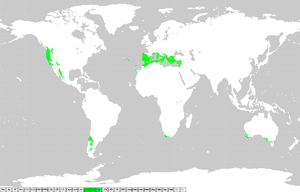 7eed8036fd9f13a97eafd3bb15dd252e939648b4ff20ee9bf8feafddea02ac45d3e9c4d3e741ee91e5c20dccd4e01d88421952