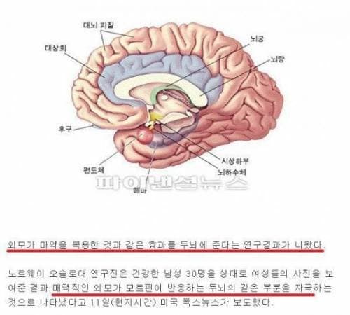 0c988075b38b6bf623e9f0e2359c70182cf97c733c35199e99cefe46450919e2b3ba162a03f0dd2148351d3db6bc995dae664e