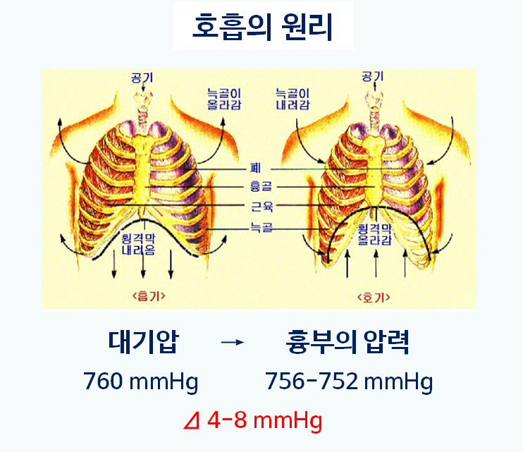 089e8902c7861d844f99f4ed33f2056ac1e9185014450cd8d56abe66405548840c3364e2e6d1