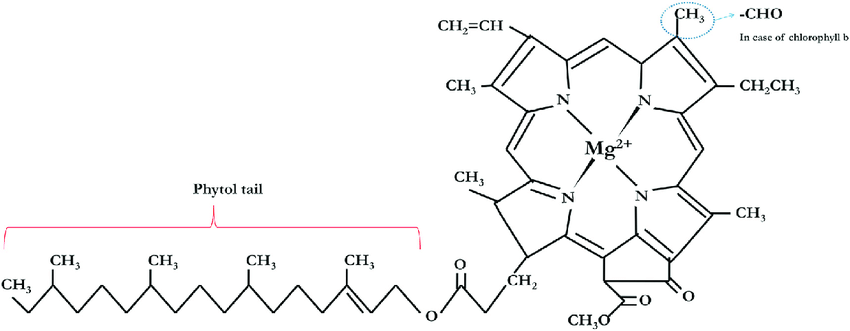 19b5d56be6da3dab67bcd7b95bc2302ff212b233579137b98963fd15ef132ab3ba189fde7d5f152160ea4531b0b6dcef197bcff0446205d143ad845270281a6ff609227caddacdad9deee88beceba6d58a250d4b86fb0bbc3b4fa8879fce5aa063db47