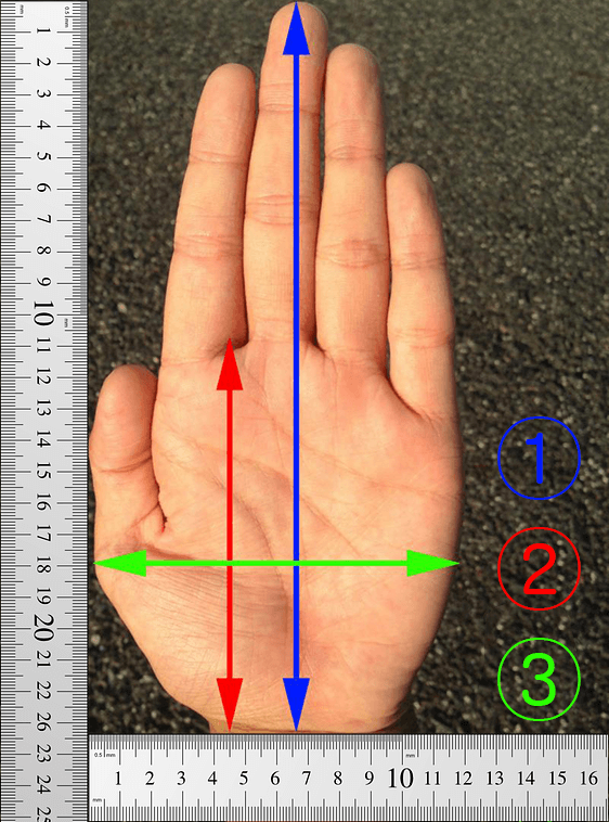 viewimage.php?id=3dafd922e0c23b9960bac1e1&no=24b0d769e1d32ca73dec85fa11d02831f032f3b7b65aa670697c5ec3262c7a12c23487355790d175067d25ad23f64686977d49ca295762b90567e7e6adac4531dd94c606f9c4048be25bd11c10b5928436443d4518988d9dba28f5